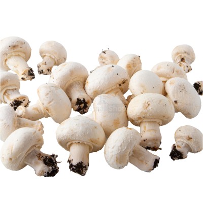 Шампиньоны свежие 500 г - купить в Тапанте